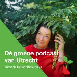 Dé groene podcast van Utrecht