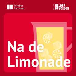 Na de Limonade