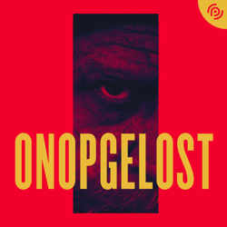 Onopgelost