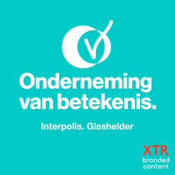 Onderneming van Betekenis