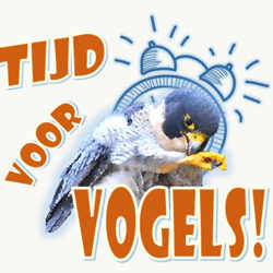 Tijd voor vogels