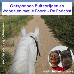 Ontspannen Buitenrijden en Wandelen met je Paard