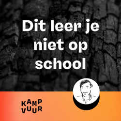 Dit leer je niet op school