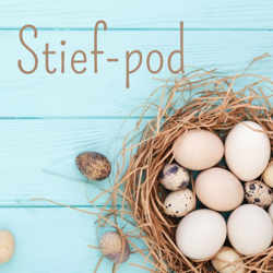 Stief-pod samengesteld gezin