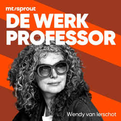 De Werkprofessor 