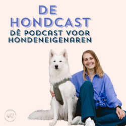 #21 Groepslessen voor honden, wel of geen goed idee? 