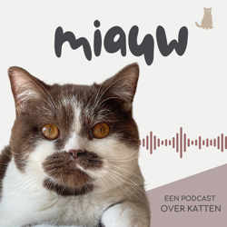 Miauw, een podcast over katten