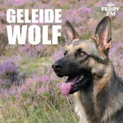 AFL 1 - Wolf en geleidehond