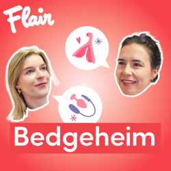 Bedgeheim #13 - seksuele fantasie