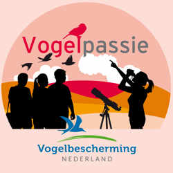 Vogelpassie