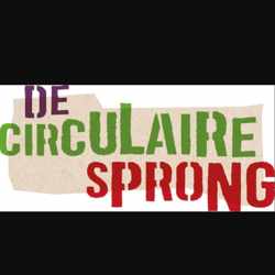 De Circulaire Sprong