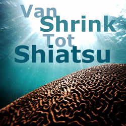 Van Shrink Tot Shiatsu