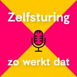 Zelfsturing - zo werkt dat