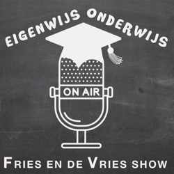 Fries en De Vries Show