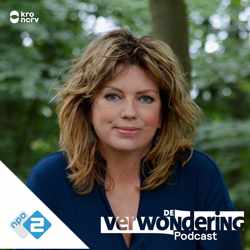 De Verwondering Podcast