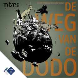 De weg van de dodo