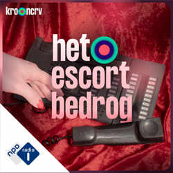 Het Escortbedrog