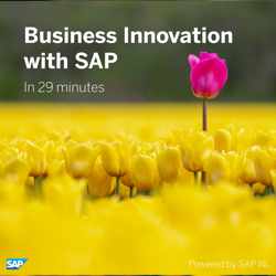 Business Innovation with SAP