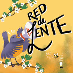 Red de lente