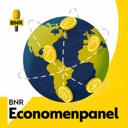 BNR Economenpanel | BNR