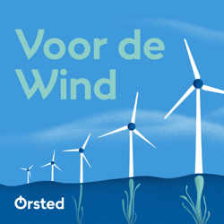 Voor de wind