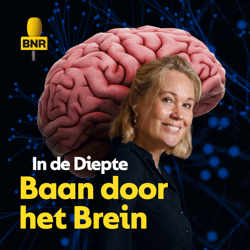 Terug naar de Oerknal | BNR