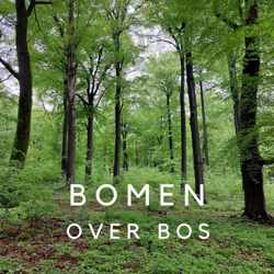 Bomen over bos