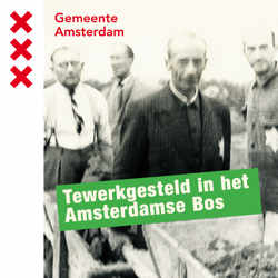 Tewerkgesteld in het Amsterdamse Bos