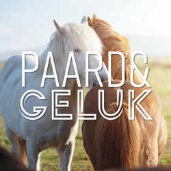 Paard & Geluk