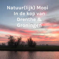  Natuur(lijk) Mooi 