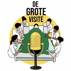 De Grote Visite