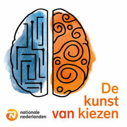 De kunst van kiezen