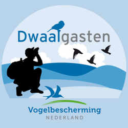 Dwaalgasten