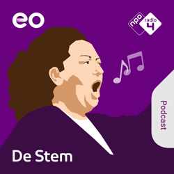 De Stem