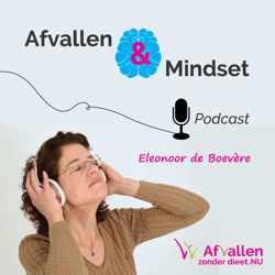 De Afvallen & Mindset Podcast