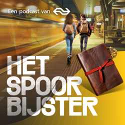 Het spoor bijster