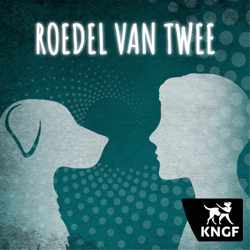 Roedel van twee