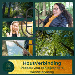 HoutVerbinding