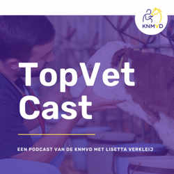 TopVetCast