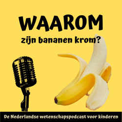 Waarom zijn bananen krom?