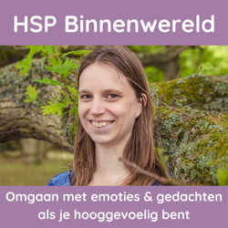 HSP Binnenwereld - omgaan met emoties en gedachten als je hooggevoelig bent