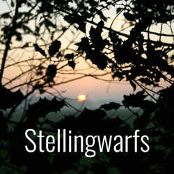 Stellingwarfs