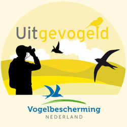 Uitgevogeld