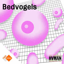 Bedvogels