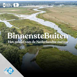 BinnensteBuiten 3D audio