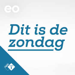 Dit is de Zondag