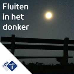 Hoorspel : Fluiten in het donker