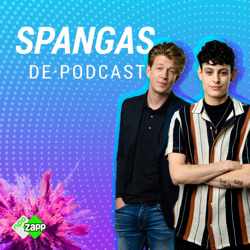 SpangaS | De kleine pauze met Tom & Thorn