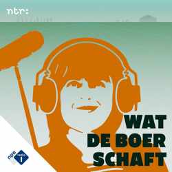 Wat de Boer Schaft