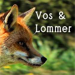 Vos en Lommer